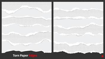 Ripped paper edges. Damaged scrap tattered paper, torn sheet borders with sticky tear scrap elements. Vector texture