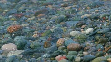 Meer Kieselsteine Hintergrund. Kieselsteine und Wasser auf das Meer Ufer. Ozean Urlaub. video