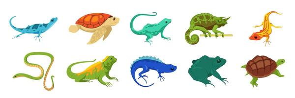 Cartoon reptiles. Exotic wild and domestic animals, crocodile iguana turtle alligator gecko snake frog salamander. Vector isolated set