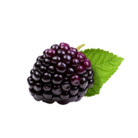 AI generated Blackberry clip art png
