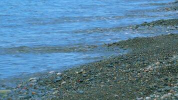 Round Sea Pebbles Are Washed By Clean Transparent Sea Waves. Small Sea Foam Waves. video