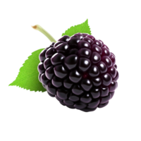 AI generated Blackberry clip art png