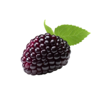 AI generated Blackberry clip art png