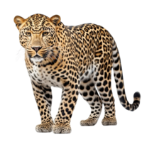 ai gerado leopardo grampo arte png