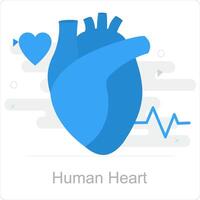 humano corazón y anatomía icono concepto vector