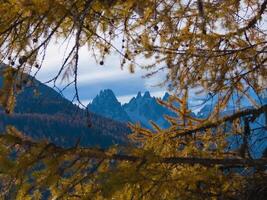 a view of the mountains through the trees photo