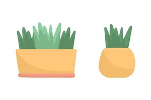 Pots with plant vector illustration in doodle style.