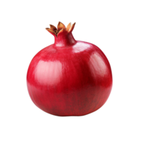 AI generated Pomegranate clip art png