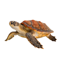 ai généré mer tortue agrafe art png