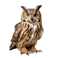 AI generated Owl bird clip art png