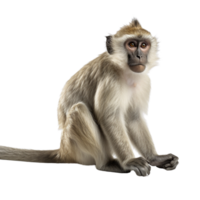 AI generated Monkey clip art png