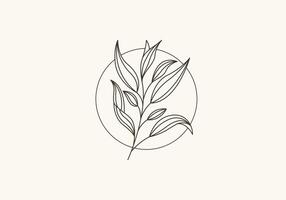 Logo Botanical Leaf and Vines Line Minimalist, Floral Logo Modern and Simple. Editable File vector