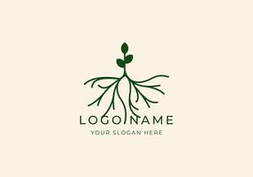 logo sprout with root. Nature, Botanical, modern, minimalist logo design. Editable color vector