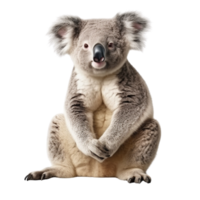 ai généré koala agrafe art png