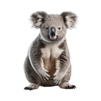 ai généré koala agrafe art png