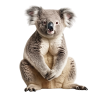 ai generato koala clip arte png