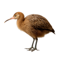 ai gegenereerd kiwi vogel klem kunst png