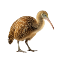 ai gegenereerd kiwi vogel klem kunst png