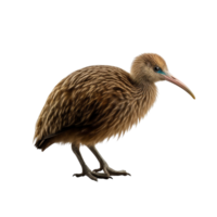 ai gerado kiwi pássaro grampo arte png