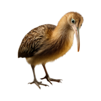 ai généré kiwi oiseau agrafe art png