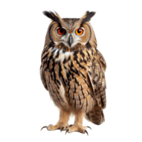 AI generated Owl bird clip art png