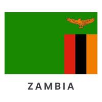 Vector Zambia flag isolated on white background.