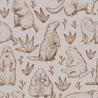 Seamless pattern of groundhogs, marmot sketches. Hand drawn vector illustration. Woodchuck colored retro ornament. Design for fabric, textile, wallpaper, print, background, Groundhog Day decor, card.