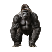 AI generated Gorilla clip art png