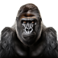 ai gegenereerd gorilla klem kunst png