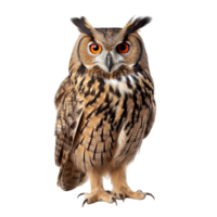 AI generated Owl bird clip art png