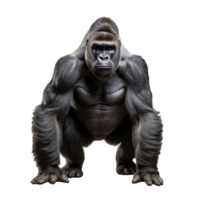 ai generato gorilla clip arte png