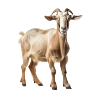 AI generated Goat clip art png