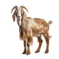 AI generated Goat clip art png