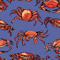 Vintage hand drawn vector seamless pattern. Background of beautiful crabs. Realistic graphic sketches of crustacean animals. Bright surface design.