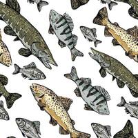 Trout, Perch, Pike, Crucian realistic ink sketches. Hand drawn vector seamless pattern of river fish. Vintage colorful fishing ornament. Design for wallpapers, background, wrap, textile, print, fabric