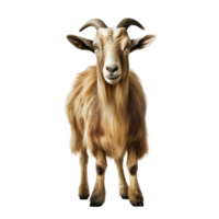 AI generated Goat clip art png