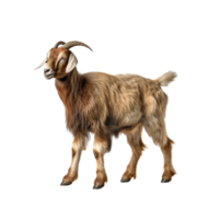 AI generated Goat clip art png