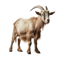 AI generated Goat clip art png