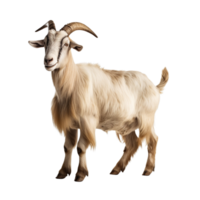 AI generated Goat clip art png