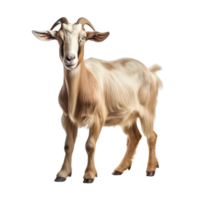 AI generated Goat clip art png