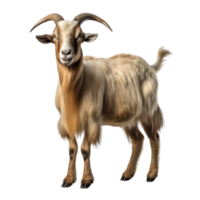 AI generated Goat clip art png