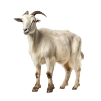 AI generated Goat clip art png