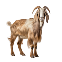 AI generated Goat clip art png