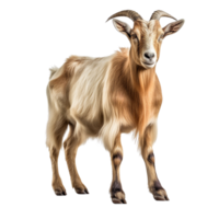 AI generated Goat clip art png