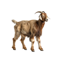 AI generated Goat clip art png