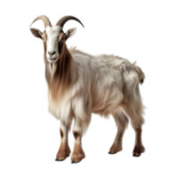 AI generated Goat clip art png