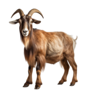 AI generated Goat clip art png