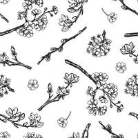 Spring botanical seamless pattern. Blooming tree branches of magnolia, sakura, willow, apricot. Vector ornament in retro engraving style.