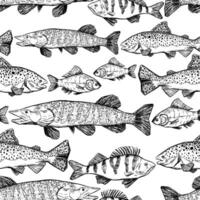 Hand drawn vector seamless pattern of river fish. Trout, Perch, Pike, Crucian realistic ink sketches background. Vintage animalistic design for wallpapers, wrap, textile, card, print, fabric.