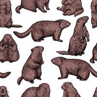 Seamless pattern of realistic groundhogs, marmot. Hand drawn vector illustration. Woodchuck colored retro ornament. Design for fabric, textile, wallpaper, print, background, Groundhog Day decor, card.